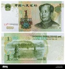 Çin  1 Yuan 2009 basımı